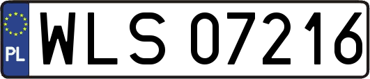 WLS07216