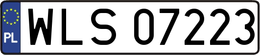 WLS07223