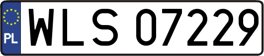 WLS07229