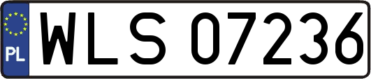 WLS07236