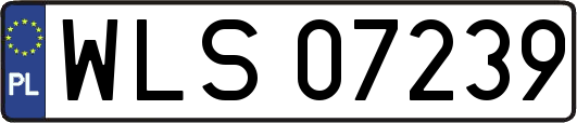 WLS07239