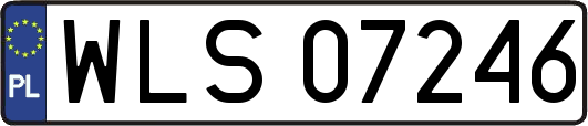 WLS07246