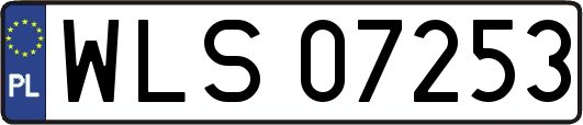 WLS07253