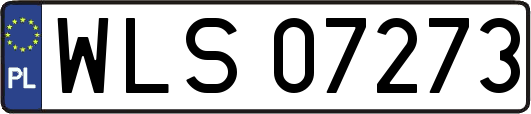 WLS07273