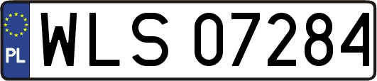 WLS07284