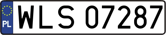 WLS07287