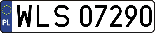 WLS07290