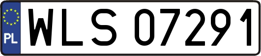 WLS07291