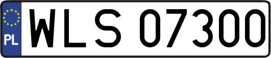 WLS07300