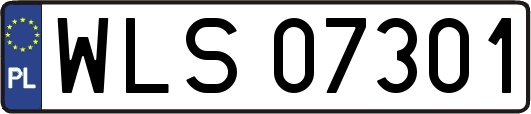 WLS07301
