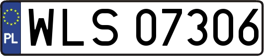 WLS07306
