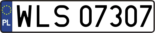 WLS07307