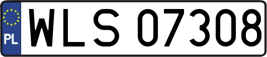 WLS07308
