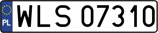 WLS07310