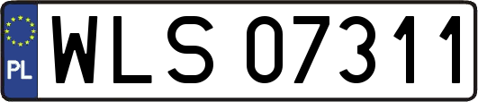 WLS07311