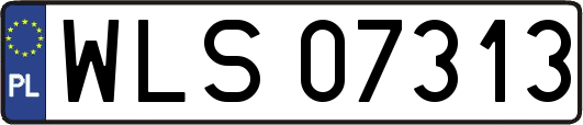 WLS07313