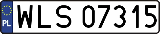 WLS07315