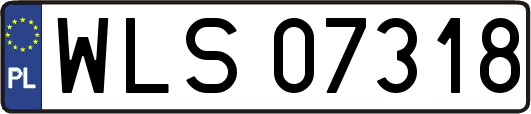 WLS07318