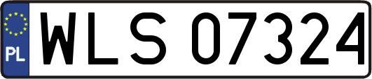 WLS07324