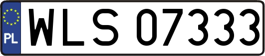 WLS07333