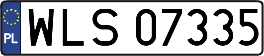WLS07335