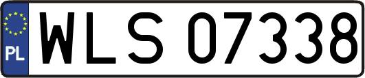 WLS07338
