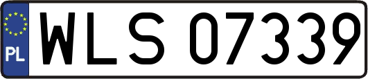 WLS07339