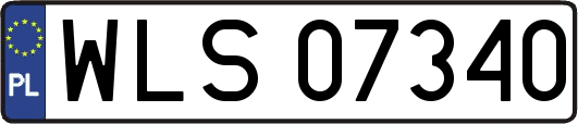 WLS07340