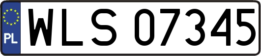 WLS07345