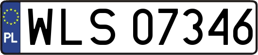WLS07346