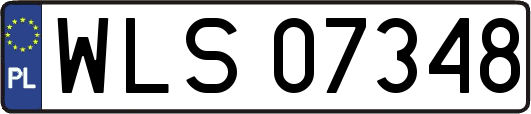 WLS07348