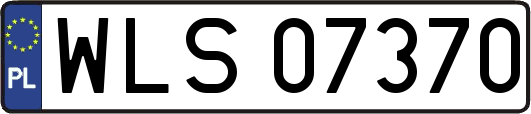 WLS07370