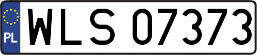 WLS07373