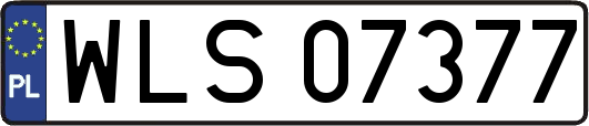 WLS07377