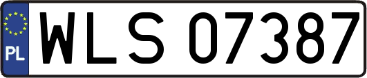 WLS07387