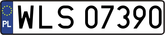 WLS07390