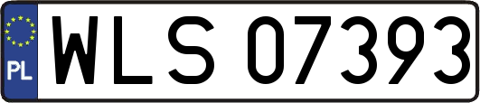 WLS07393
