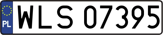 WLS07395