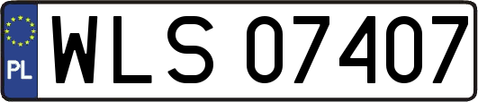 WLS07407