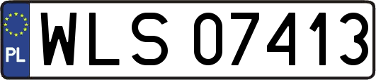 WLS07413