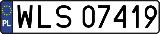 WLS07419