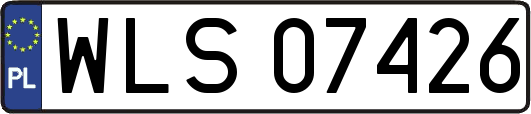 WLS07426