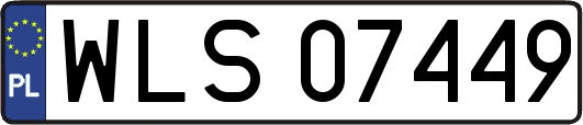 WLS07449