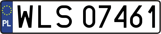 WLS07461