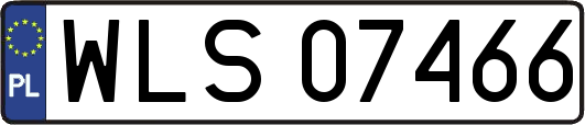 WLS07466
