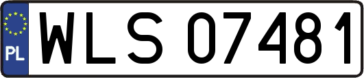 WLS07481