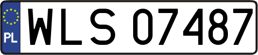 WLS07487