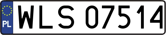 WLS07514