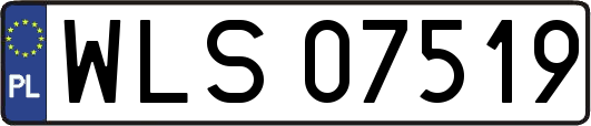 WLS07519