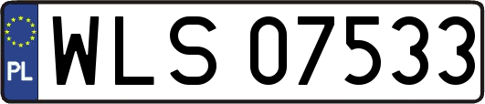 WLS07533